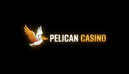 Pelican_pelican-polska.com_№1